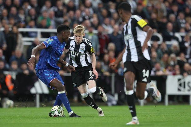 经展现出非 经展现出非